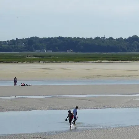 Le Bois Flotte Le Crotoy